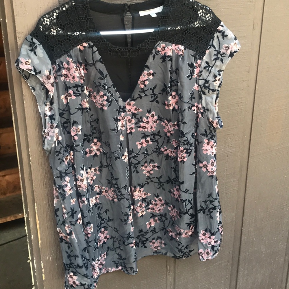 Daniel Rainn top. Super adorable! 3X